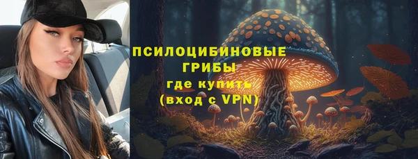 прущие грибы Белоозёрский