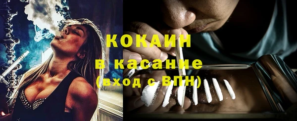 прущие грибы Белоозёрский