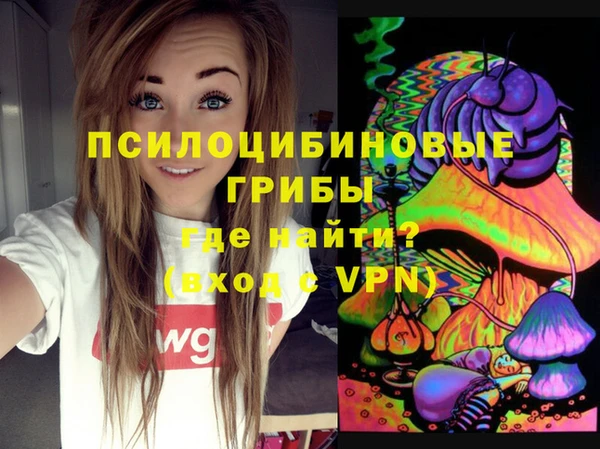 прущие грибы Белоозёрский
