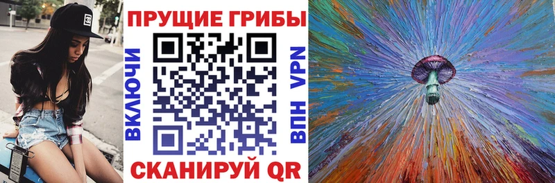 Купить закладки  Мезень  Галлюциногенные грибы мухоморы 