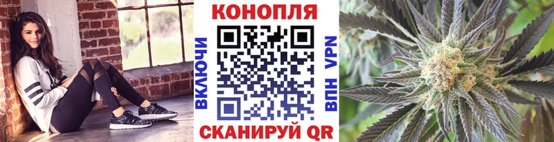 Купить  Мезень  Бошки марихуана конопля 